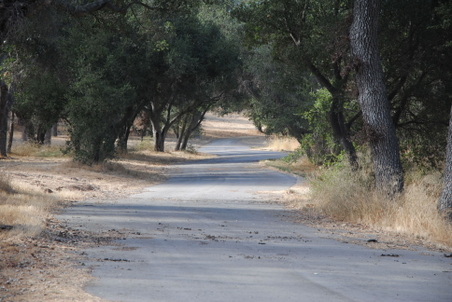 Enlarge photo 42