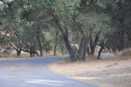 Enlarge photo 43