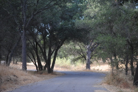 Enlarge photo 46