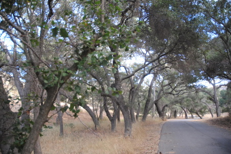 Enlarge photo 47