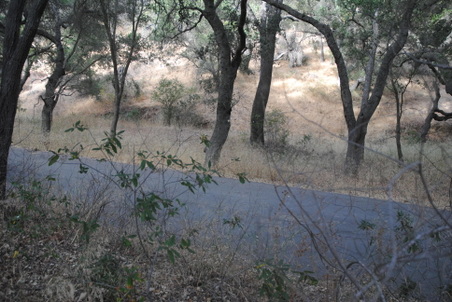 Enlarge photo 49