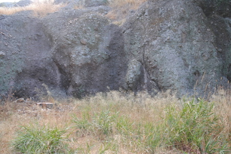 Enlarge photo 51