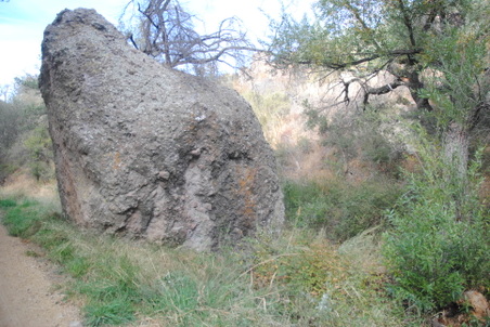 Enlarge photo 55