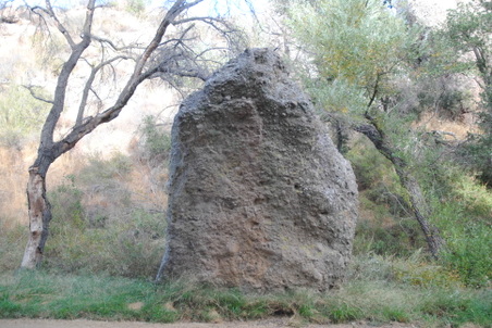 Enlarge photo 57