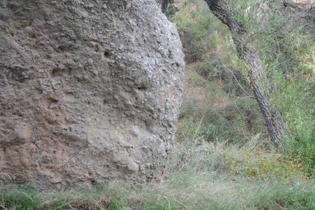 Enlarge photo 58