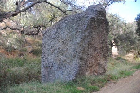 Enlarge photo 59