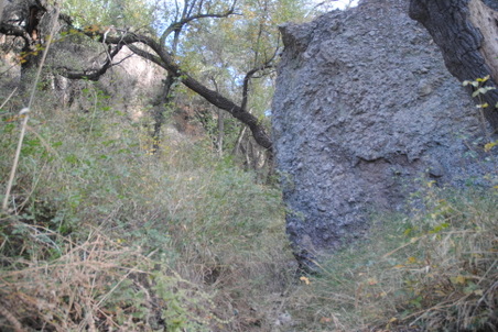 Enlarge photo 60