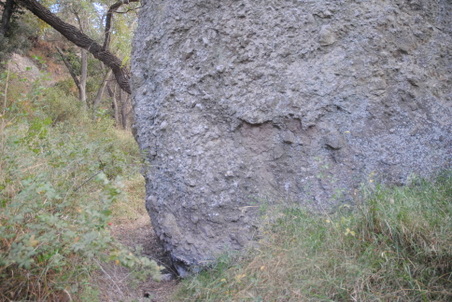 Enlarge photo 61