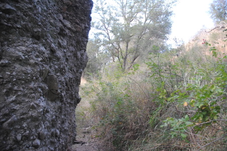 Enlarge photo 62