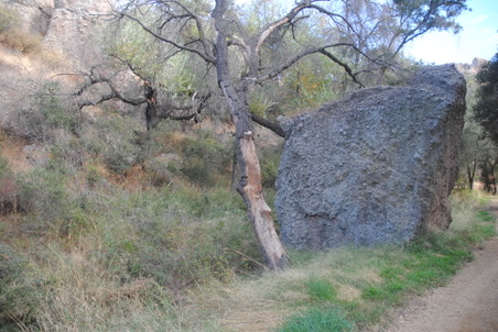 Enlarge photo 63