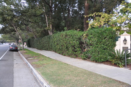 Enlarge photo 14