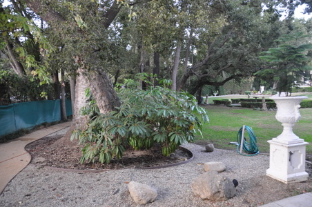 Enlarge photo 19