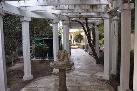 Enlarge photo 41