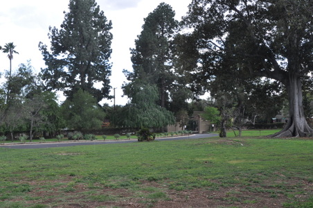 Enlarge photo 23