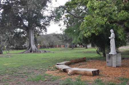Enlarge photo 24