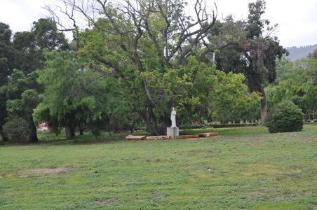 Enlarge photo 28