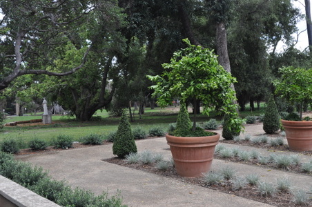 Enlarge photo 47