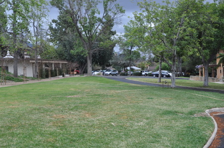 Enlarge photo 50