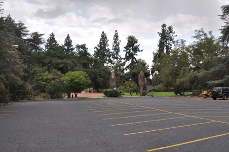 Enlarge photo 61