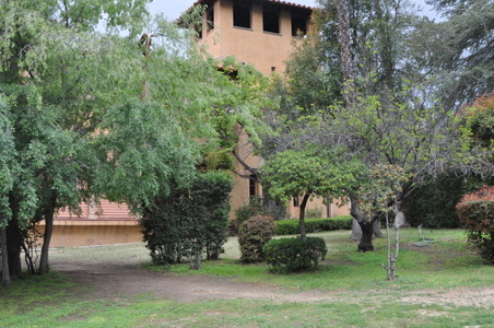Enlarge photo 70
