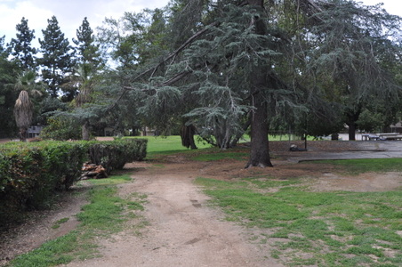 Enlarge photo 73