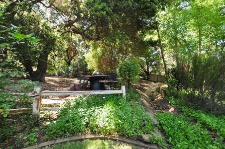Enlarge photo 21