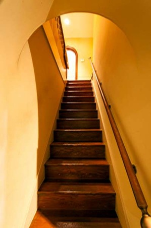 Enlarge photo 67