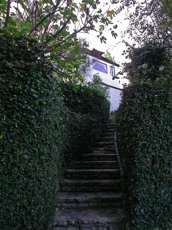 Enlarge photo 16