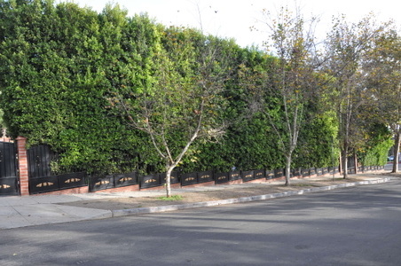 Enlarge photo 10