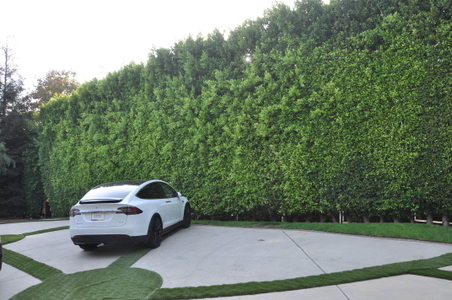 Enlarge photo 24