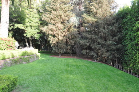 Enlarge photo 35