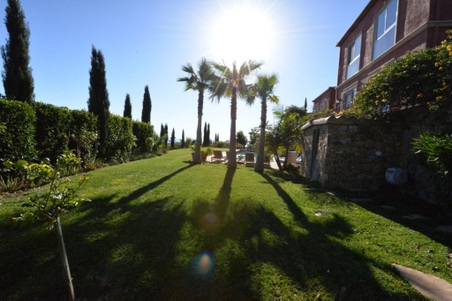 Enlarge photo 43