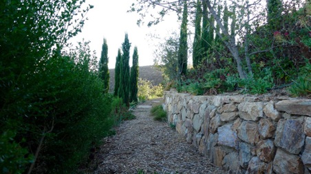 Enlarge photo 59