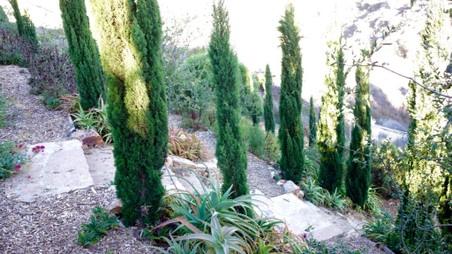 Enlarge photo 61