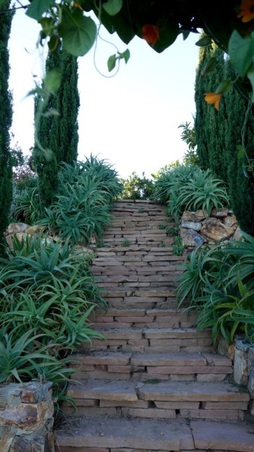 Enlarge photo 62