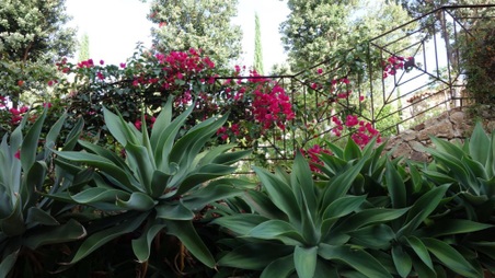 Enlarge photo 63