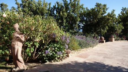 Enlarge photo 65