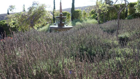 Enlarge photo 66