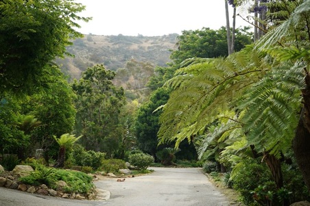 Enlarge photo 5