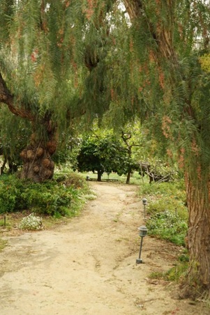 Enlarge photo 9