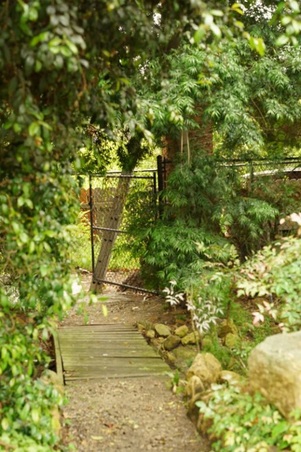 Enlarge photo 15
