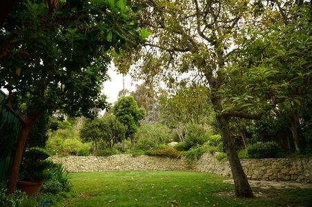 Enlarge photo 16