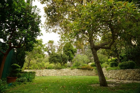 Enlarge photo 17