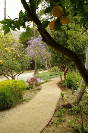 Enlarge photo 22