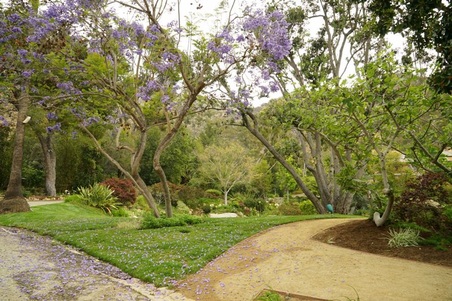 Enlarge photo 25