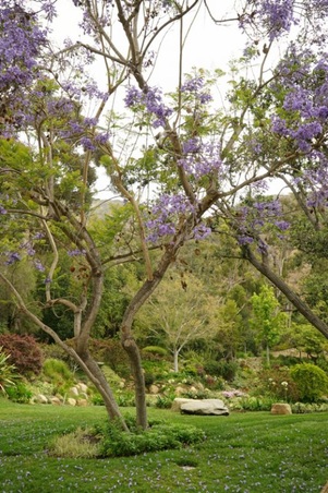Enlarge photo 26