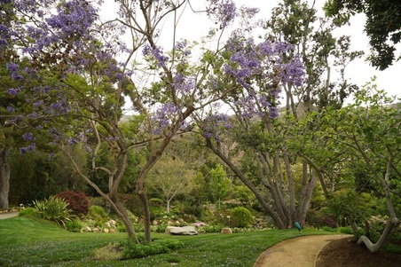 Enlarge photo 27