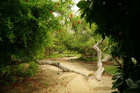 Enlarge photo 28
