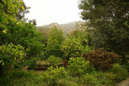 Enlarge photo 29