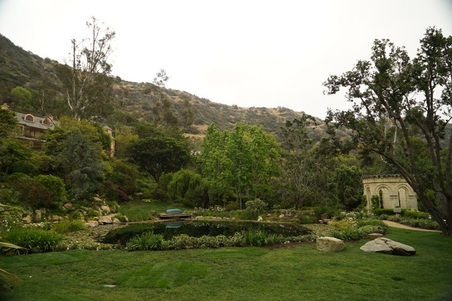 Enlarge photo 30